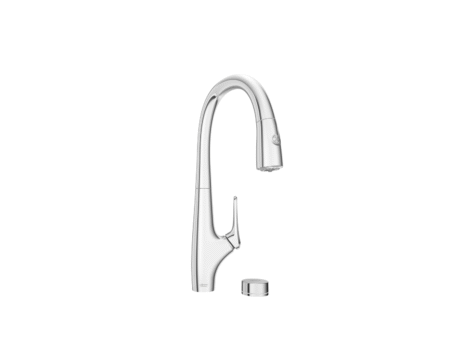 American Standard Saybrook Single-Handle Filtered Pull-Down Dual Spray Kitchen Faucet